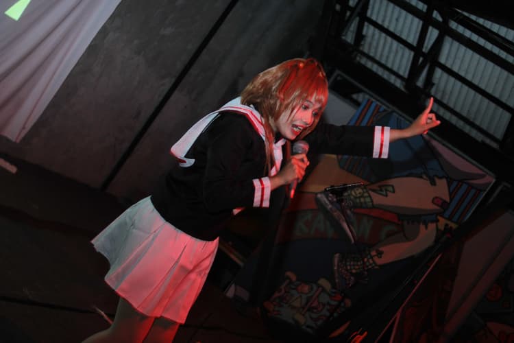 gallery akita