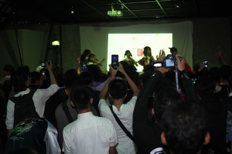 gallery akita